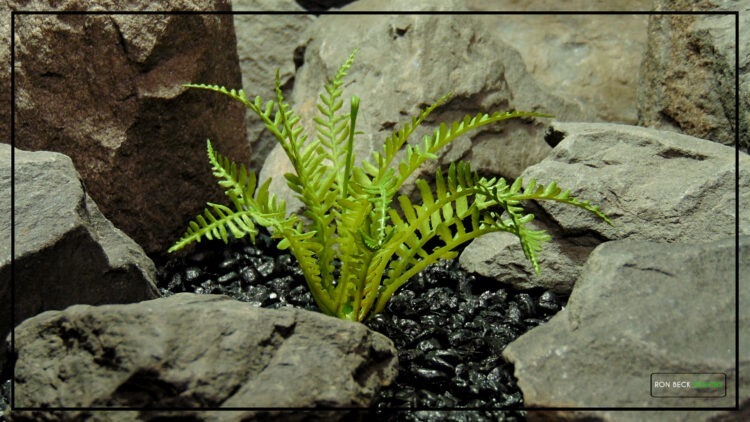 Artificial Light Green Fern - Reptile Terrarium Vivarium Plant prp506 3