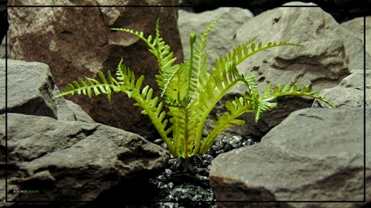 Artificial Light Green Fern - Reptile Terrarium Vivarium Plant prp506 4