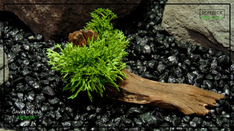 Artificial Moss Real Touch Driftwood Reptile Decor TAD512 Ron Beck Designs 2