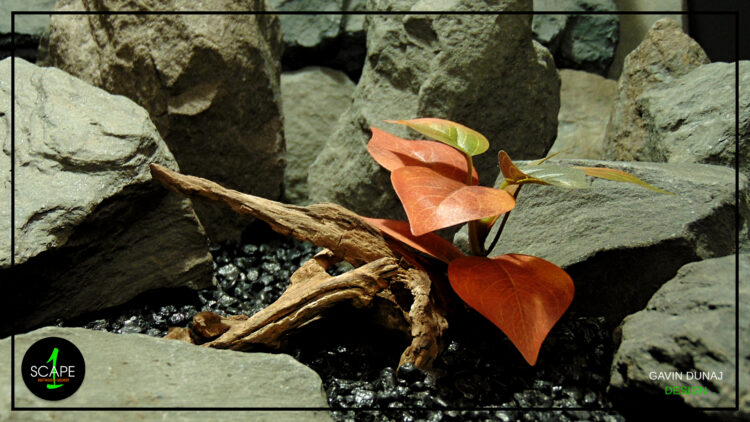 Driftwood 2x Silk Autumn Foliage Reptile Decor DWSR514 1 2