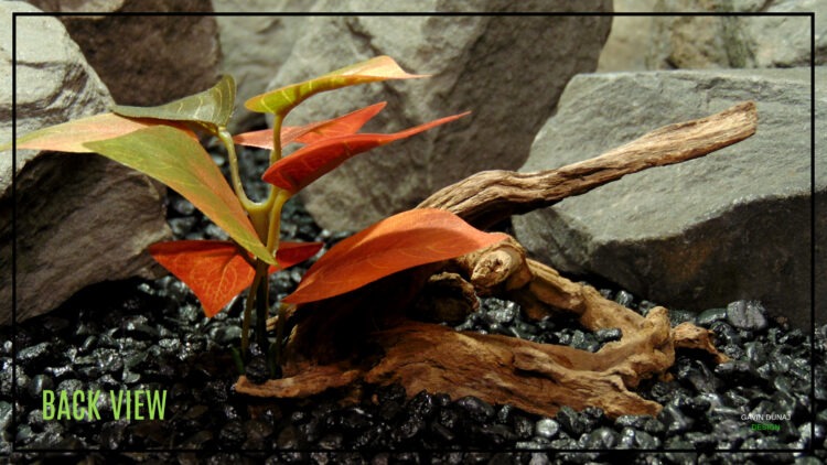 Driftwood 2x Silk Autumn Foliage Reptile Decor DWSR514 8