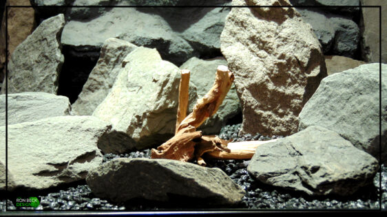 Natural Driftwood Spider Wood Aquarium Reptile Decor Ron Beck Designs SW515 4