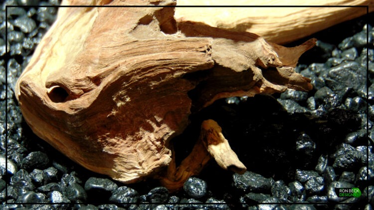 Natural Driftwood Spider Wood Aquarium Reptile Decor Ron Beck Designs SW515 6