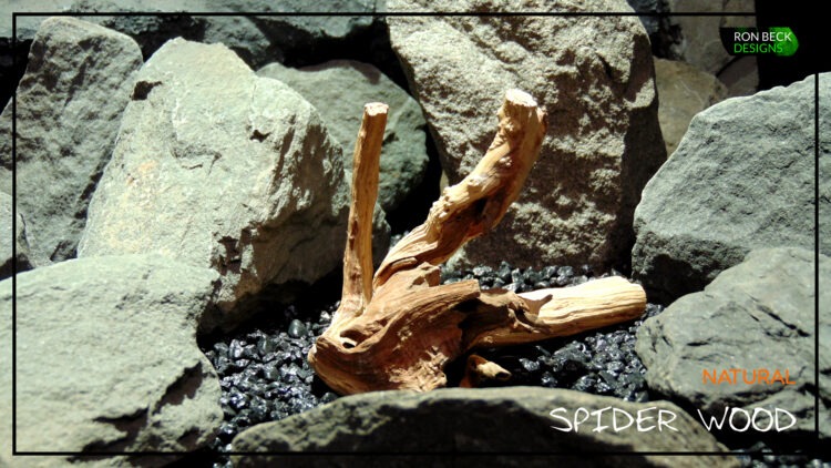 Natural Driftwood Spider Wood Aquarium Reptile Decor Ron Beck Designs SW515 Title