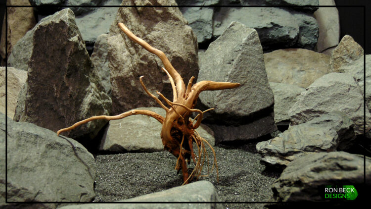 Natural Spider Wood - Aquarium Reptile SW513 7