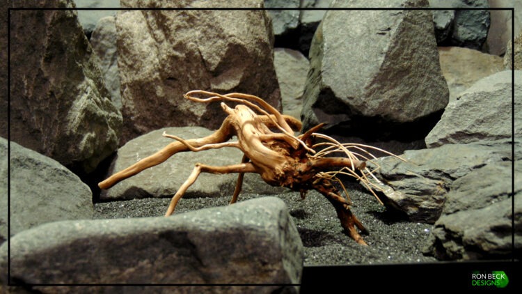 Natural Spider Wood - Aquarium Reptile SW513 Title 2 sw513