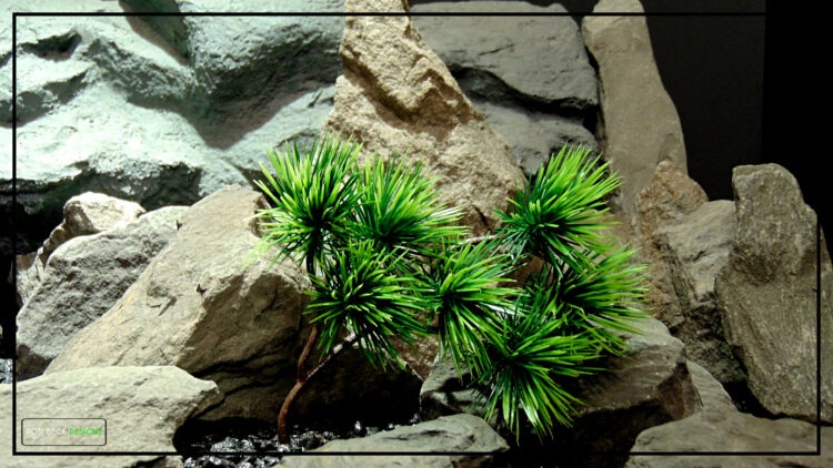 Artificial Welcome Pine Bonsai Reptile Habitat Plant prp517 1