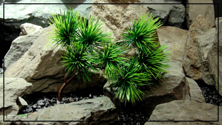 Artificial Welcome Pine Bonsai Reptile Habitat Plant prp517 2