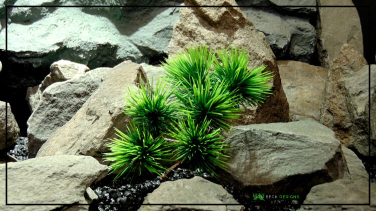 Welcome Pine Bonsai Reptile Habitat Plant prp518 3