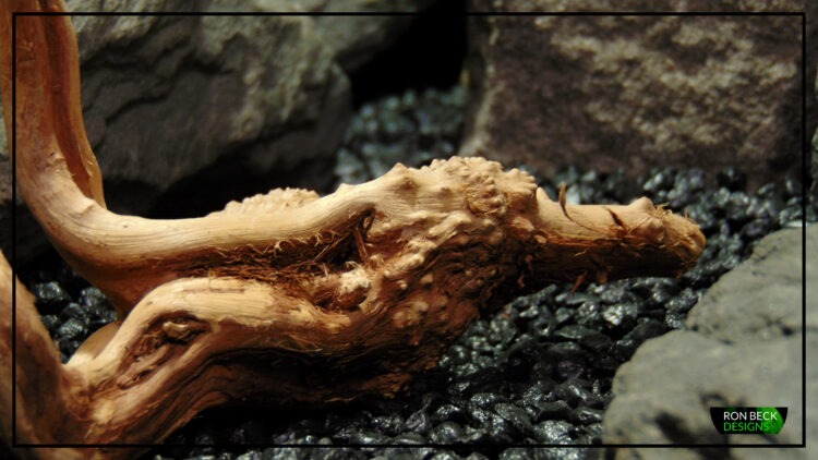 Natural Spider Wood Driftwood - Aquarium Reptile Decor - Ron Beck Designs SW516 1 2