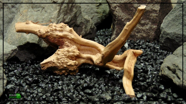 Natural Spider Wood Driftwood - Aquarium Reptile Decor - Ron Beck Designs SW516 1 4