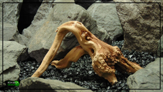 Natural Spider Wood Driftwood - Aquarium Reptile Decor - Ron Beck Designs SW516 1 7