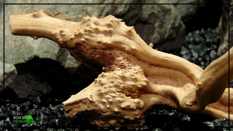 Natural Spider Wood Driftwood - Aquarium Reptile Decor - Ron Beck Designs SW516 1 8