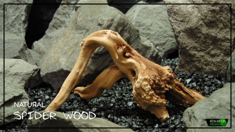 Natural Spider Wood Driftwood - Aquarium Reptile Decor - Ron Beck Designs Title SW516