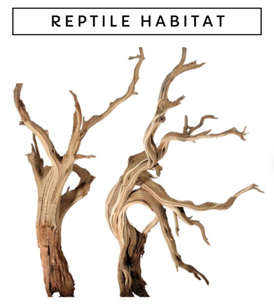 Reptile Driftwood | Rock | Resin Decor