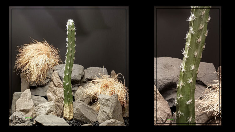 Artificial San Pedro Cactus 18 inches tall - Desert Reptile Habitat Plant - PRC519 1.jpg