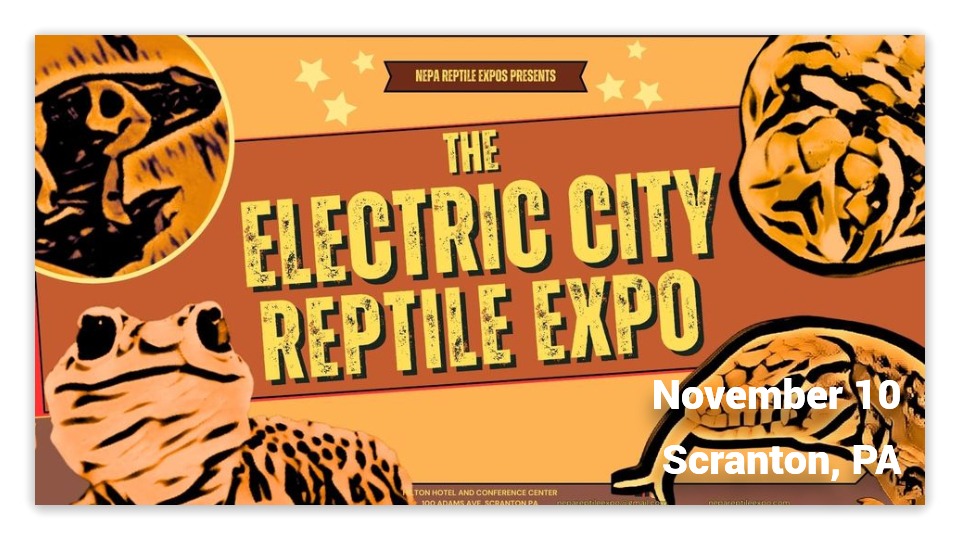 Sixth Electric City Reptile Expo-fotor-20240907233316