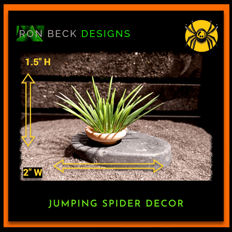 Artificial Urchin Grass Wood Bowl - Jumping Spider Decor JS579 H