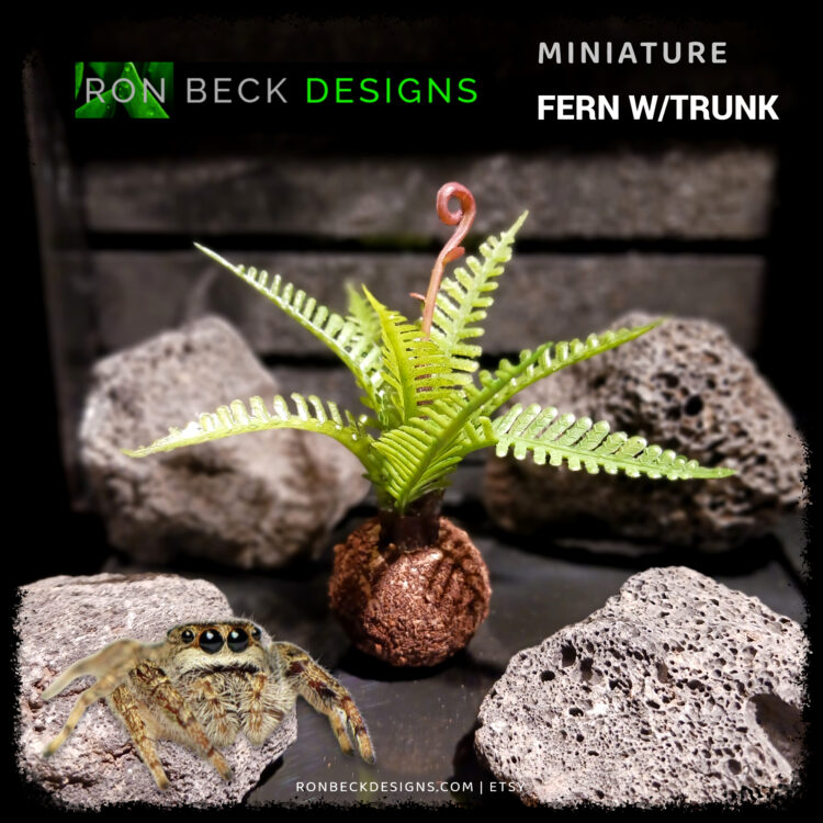 Artificial Miniature Fern Jumping Spider Decor Plant - T js572