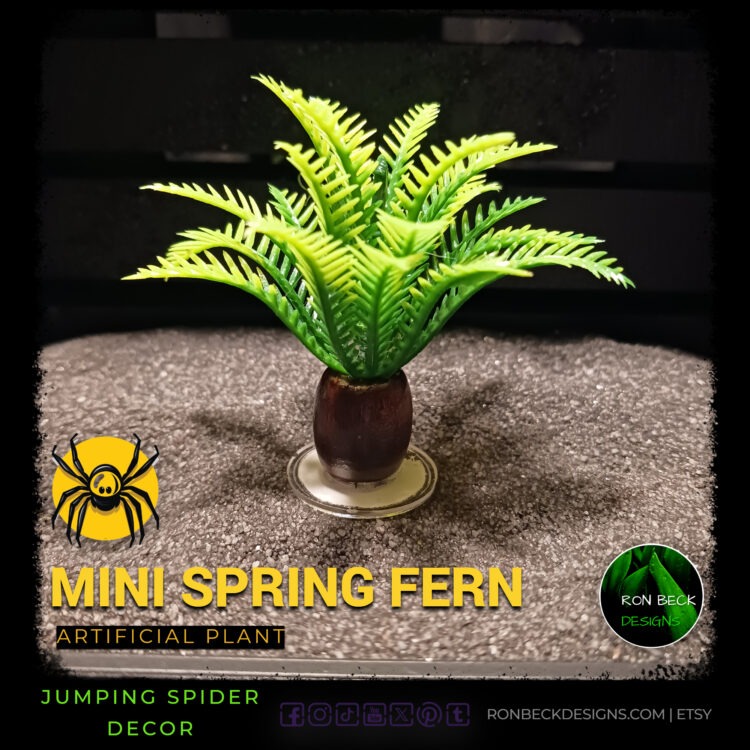 Artificial Miniature Spring Fern - Jumping Spider Decor 2