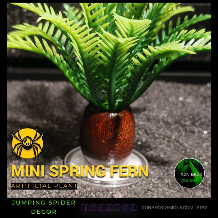 Artificial Miniature Spring Fern - Jumping Spider Decor 3