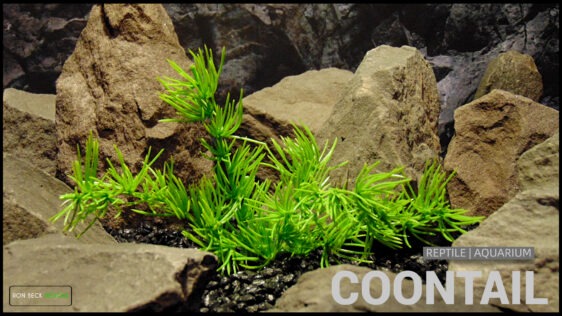 Artificial Coontail - Aquarium Reptile Decor Plant parp569 T