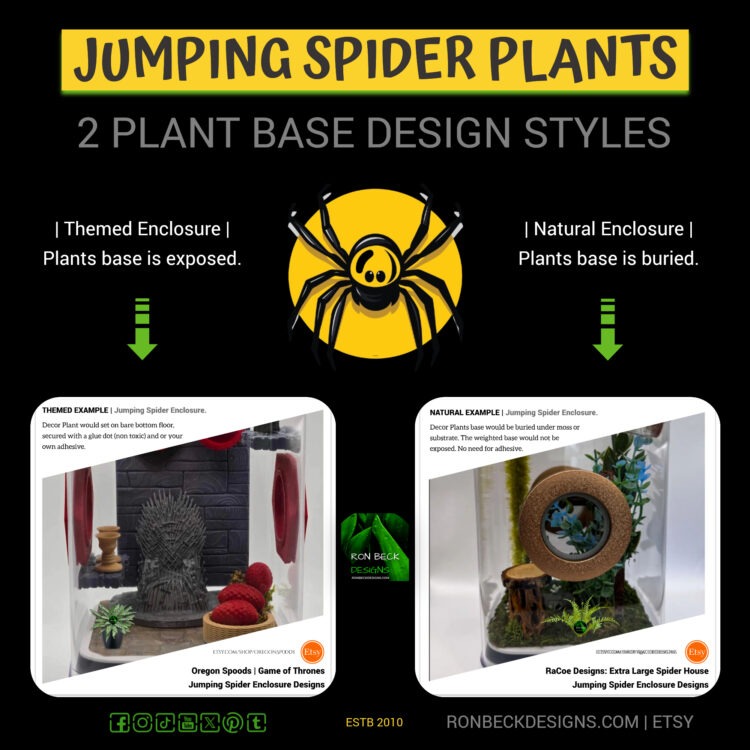 Jumping Spider 2 PLANT BASE DESIGN STYLES 2000 2000