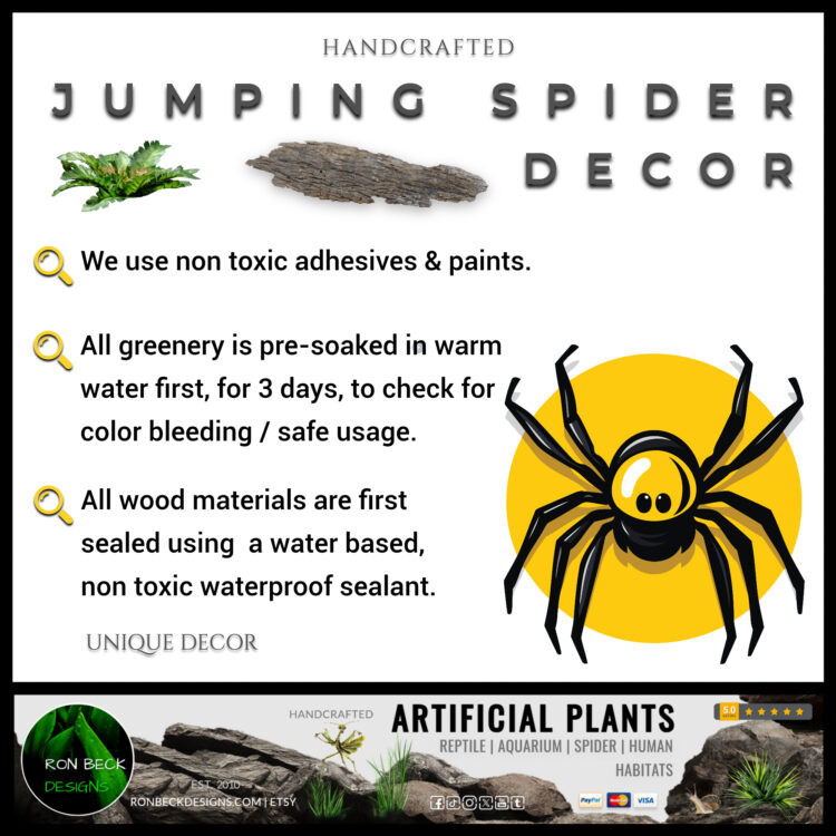 Jumping Spider Decor Materials Technique