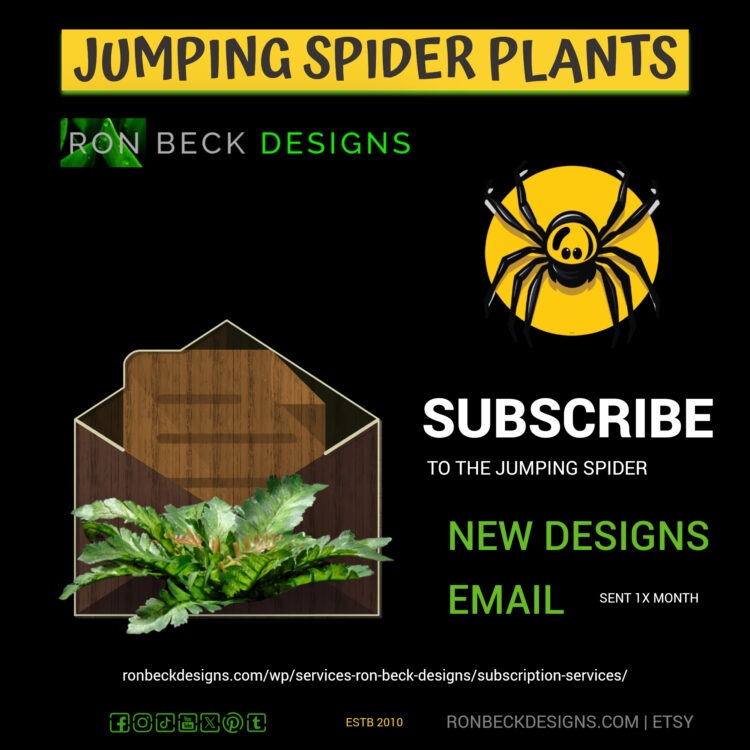 New Jumping Spider Decor Designs Email Subscribe