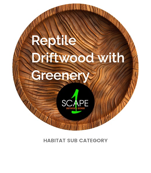 1 Scape Reptile Driftwood Artificial Greenery Decor