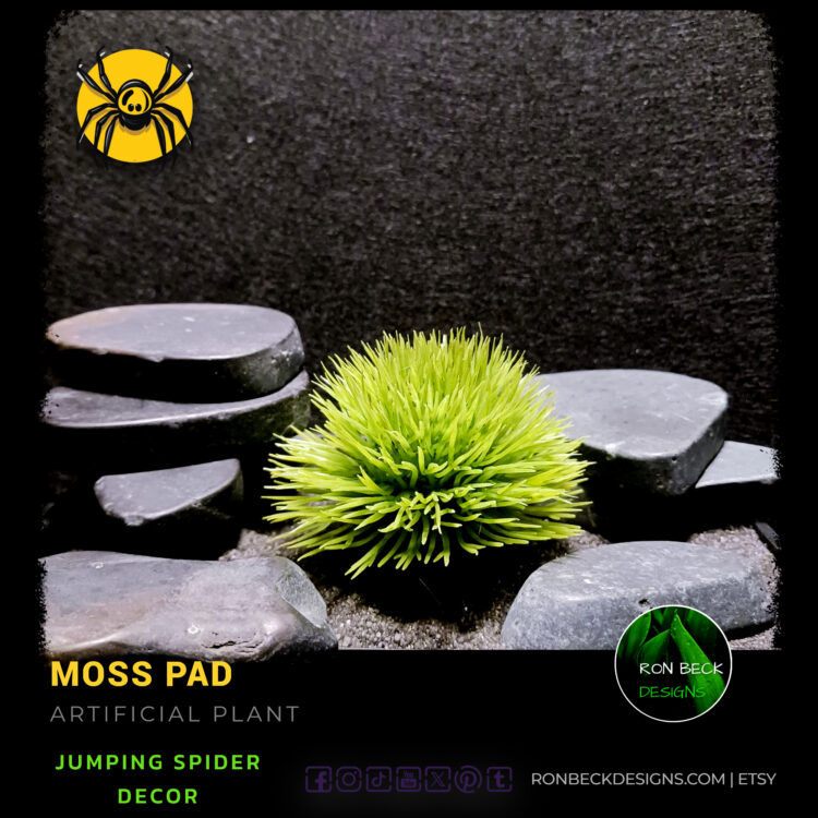 Artificial Moss Pad Jumping Spider Decor Plant JS585 m