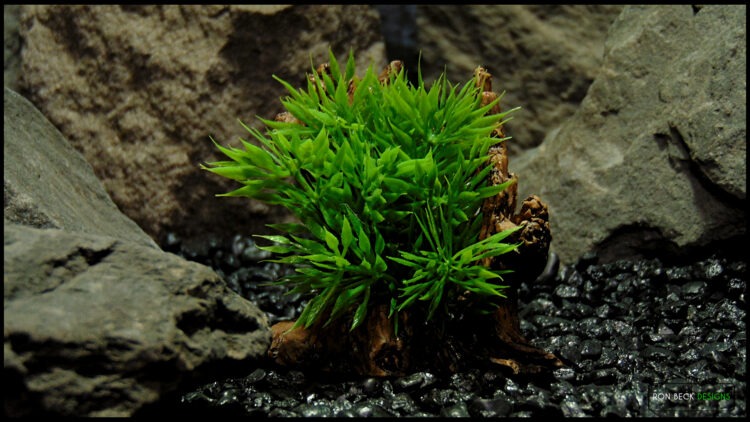 Artificial Podocarpus Grass Resin Driftwood RRDG510 MAI