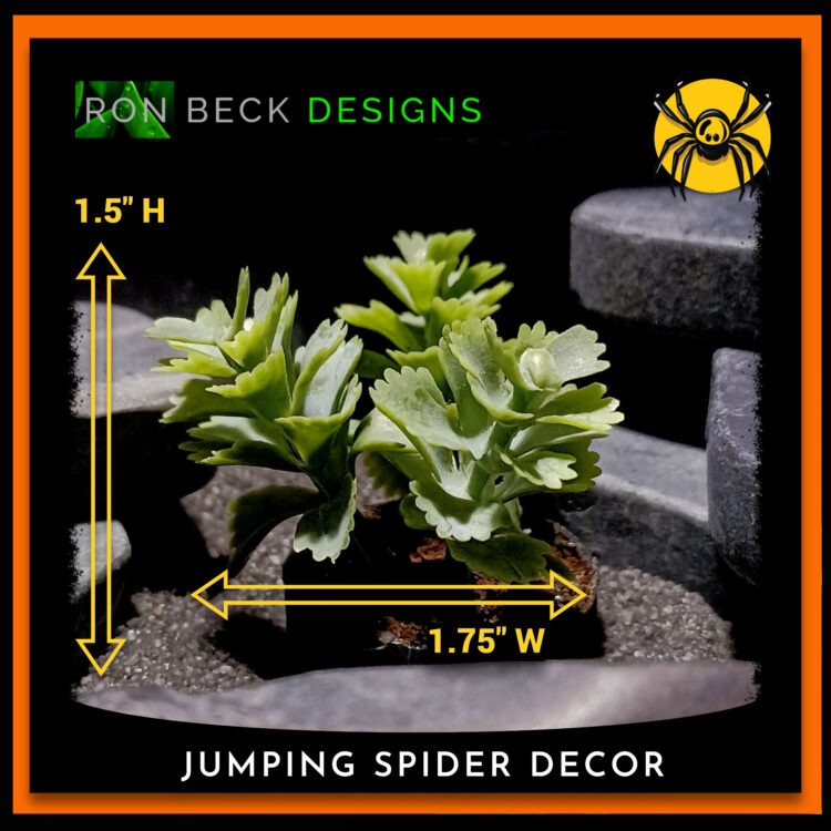 Artificial Sedum Stonecrop Jumping Spider Decor Plant JS581 HEIGHT