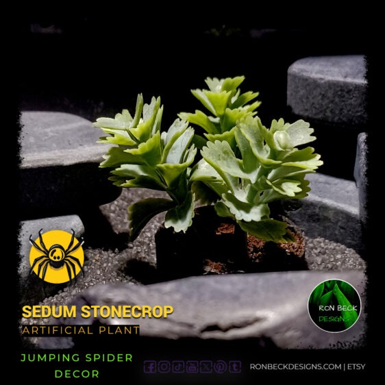 Artificial Sedum Stonecrop Jumping Spider Decor Plant JS581 MAIN