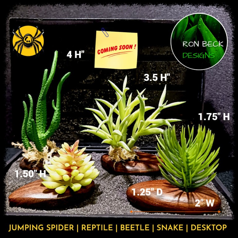 Coming soon - Wood Teardrop with artificial greenery - jumping spider beetle reptile snake decor enclosure habitat accessories M