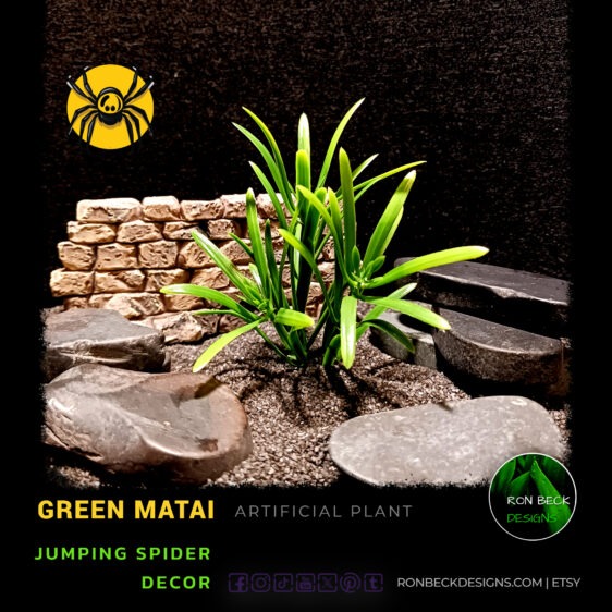 Green Matai Artificial Plant Jumping Spider JS588 MAIN