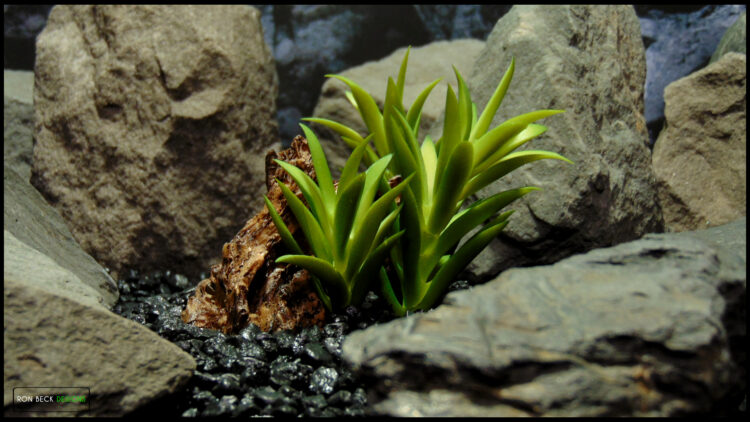 Resin Driftwood - Artificial Succulents - 1 Scape - RDWG521 2ND