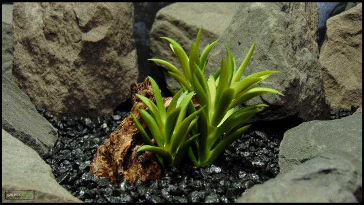 Resin Driftwood - Artificial Succulents - 1 Scape - RDWG521 H