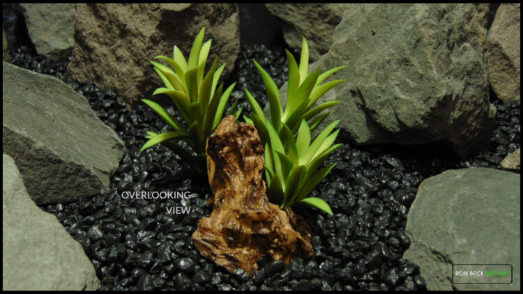 Resin Driftwood - Artificial Succulents - 1 Scape - RDWG521 overlooking