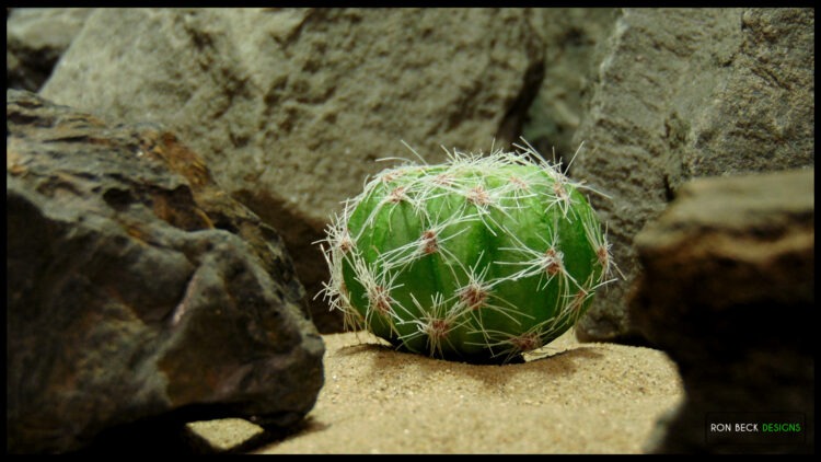 Artificial Barrel Cactus Desert Reptile Plant RP591main without