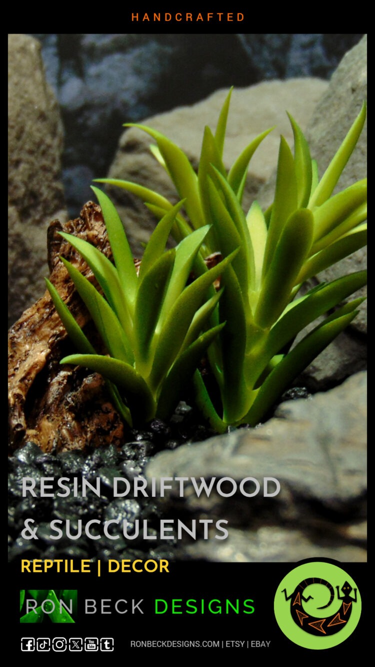 Reptile Resin Driftwood Decoration - Artificial Succulents - 1 Scape - RDWG521 1080 1920 X