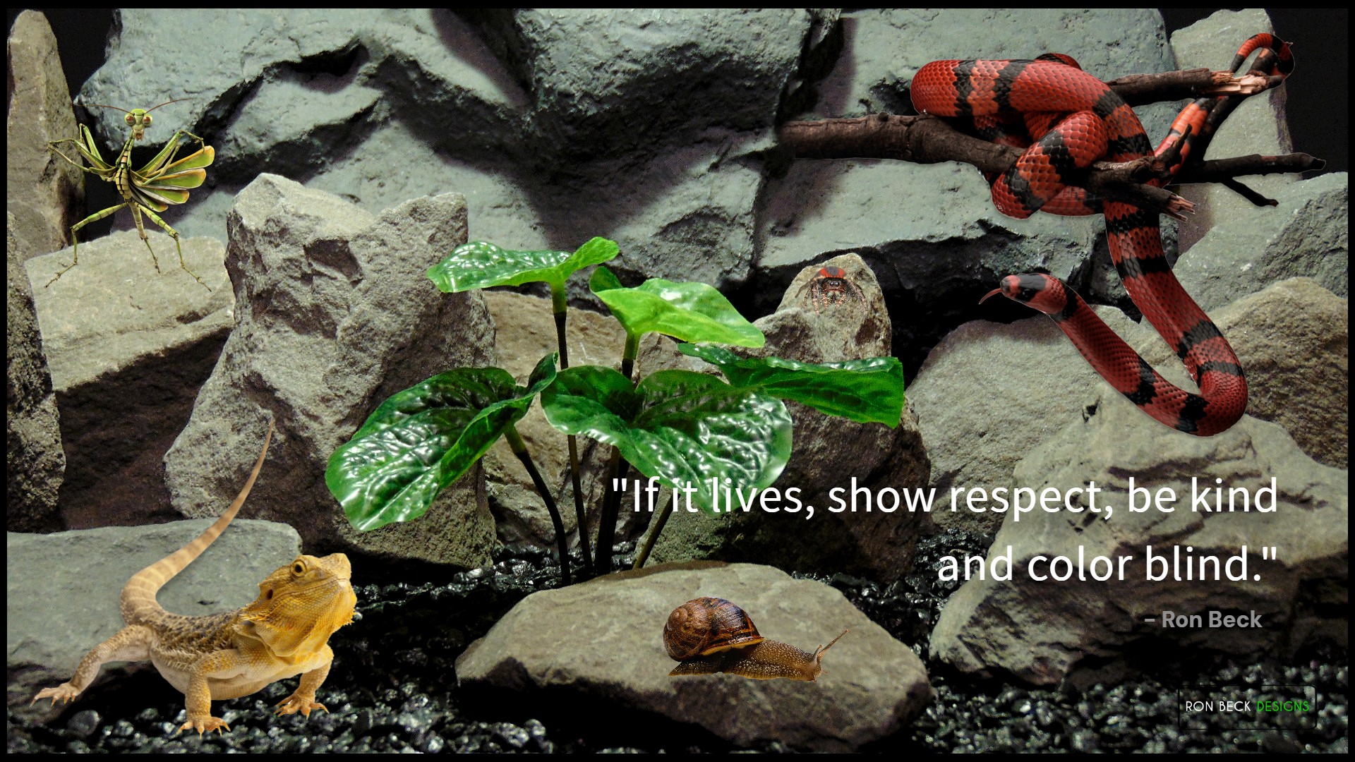 If it lives, show respect, be kind and be color blind | ron beck designs 2025