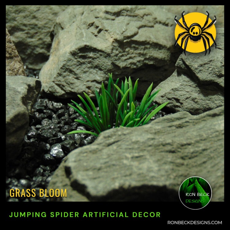 Artificial Miniature Grass Bloom | Jumping Spider Insect enclosure decor plant | PJS487 f