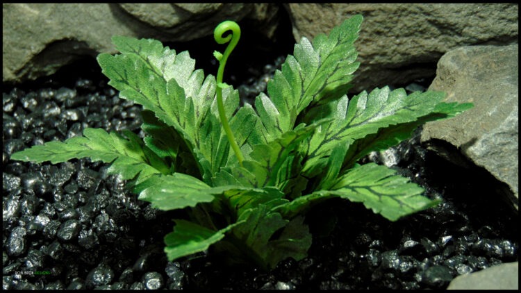 Artificial Silk Bracken Fern - Reptile Decor SRP598