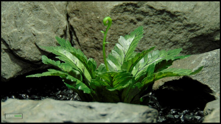 Artificial Silk Bracken Fern - Reptile Decor SRP598 9 T