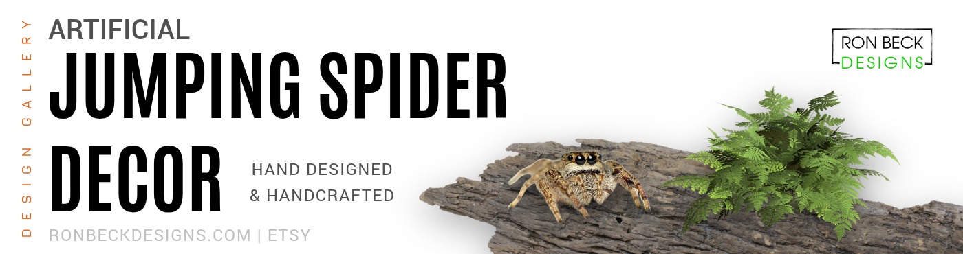 Jumping Spider Decor - Design Gallery Portfolio 1400 370