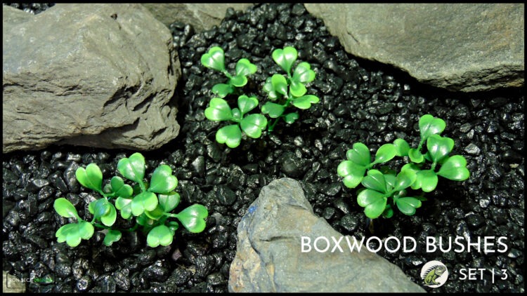 Artificial Boxwood Bushes - Reptile Plant - prp615 2