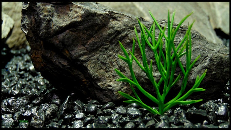 Artificial Mistletoe Cactus Grass Set of 3 - Ron Beck Designs 3rd