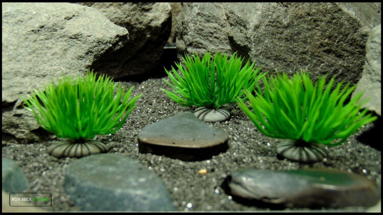 Artificial Moss Grass on Pebbles - Set of 3 - Jumping Spider 1
