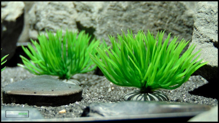 Artificial Moss Grass on Pebbles - Set of 3 - Jumping Spider 2